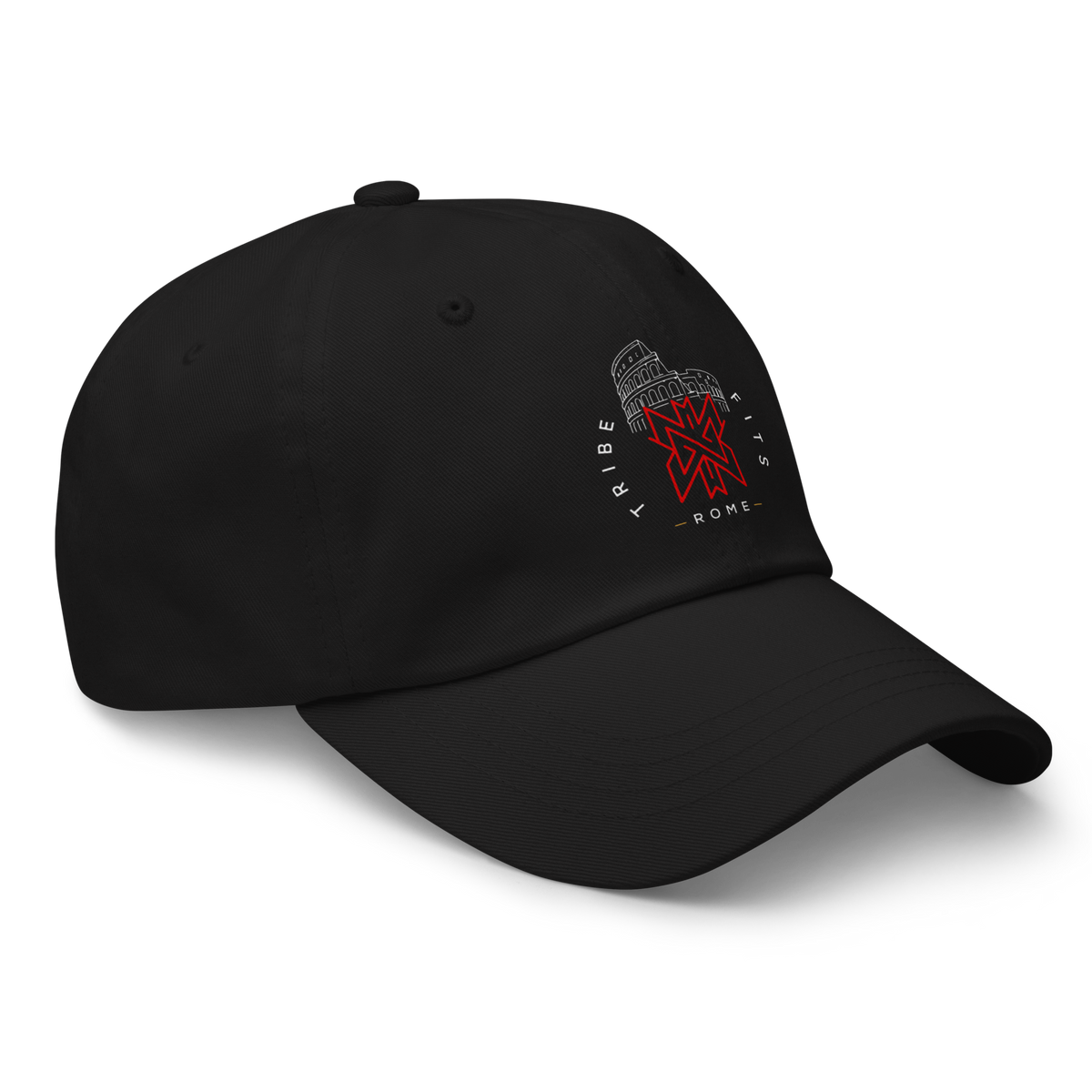 Rome Destination Cap dark