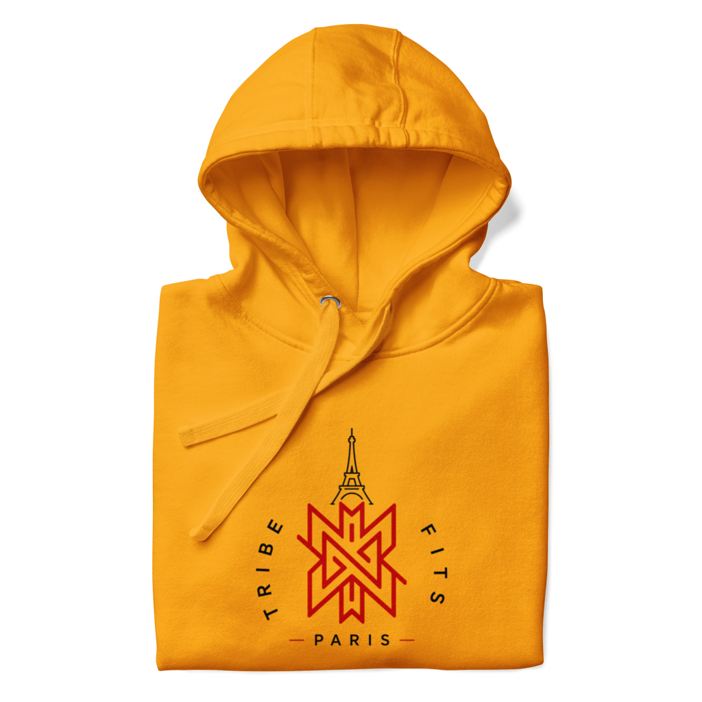 Paris Destination Hoodie light