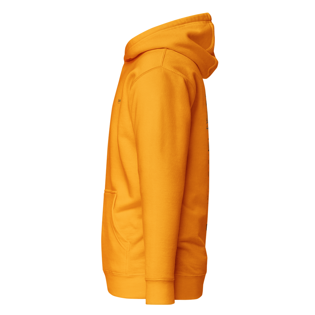 Lisbon Boarding Pass Hoodie